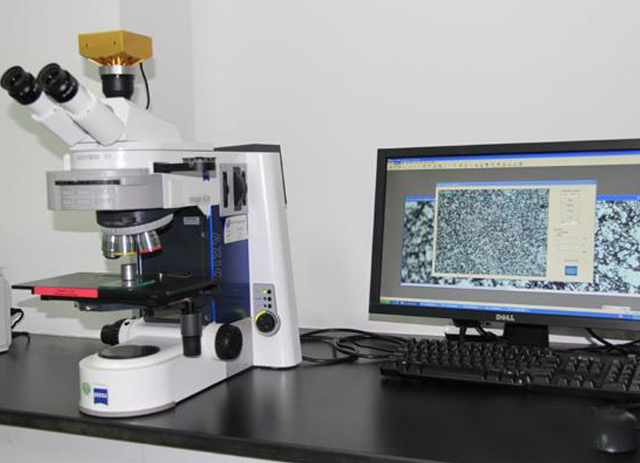Analizador metalográfico (microscopio)